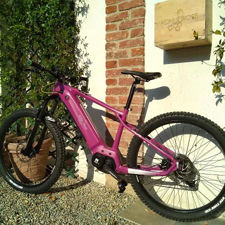 아파트 Acini E Rose *